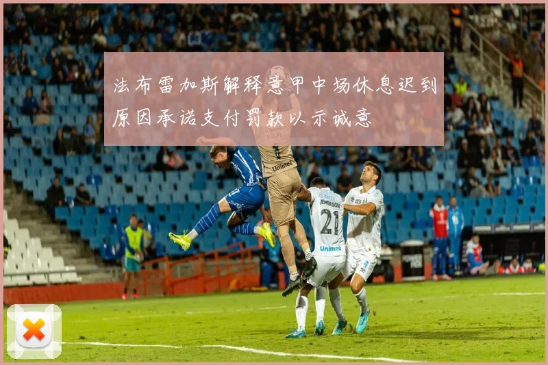 法布雷加斯解释意甲中场休息迟到原因承诺支付罚款以示诚意