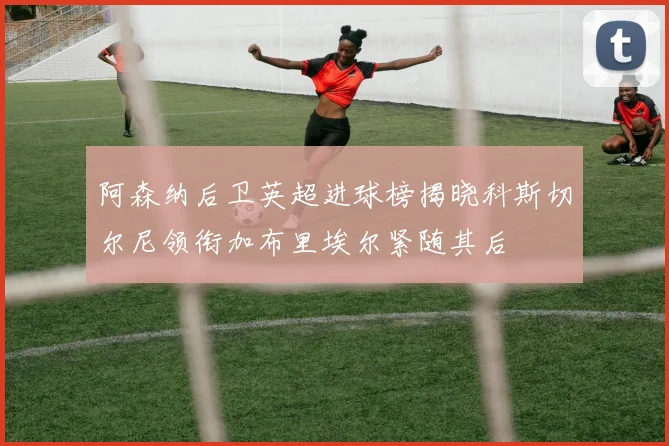阿森纳后卫英超进球榜揭晓科斯切尔尼领衔加布里埃尔紧随其后