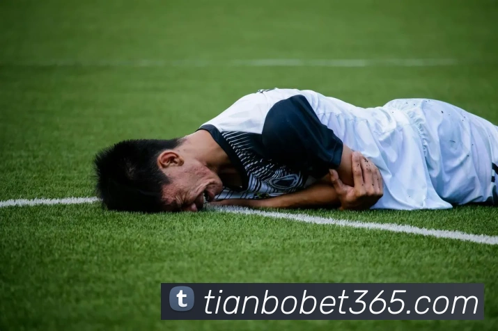 天博体育发展历程